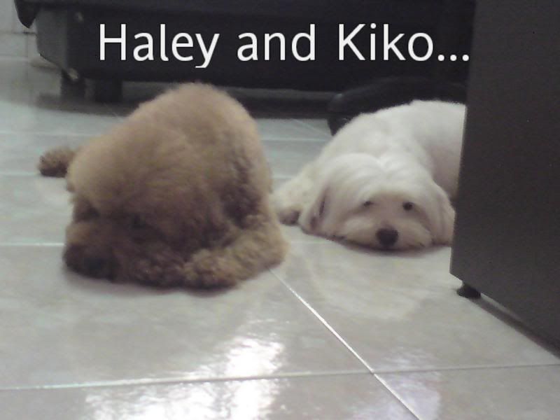 Haley and Kiko