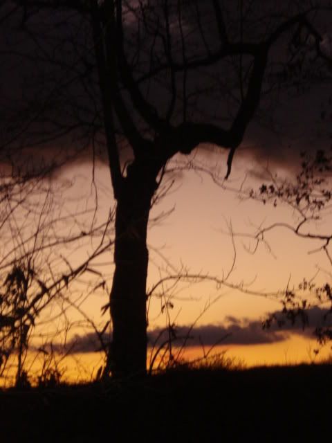 Homestead Pictures Thread.. - Homesteading Questions