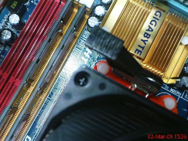 DSC00126.jpg