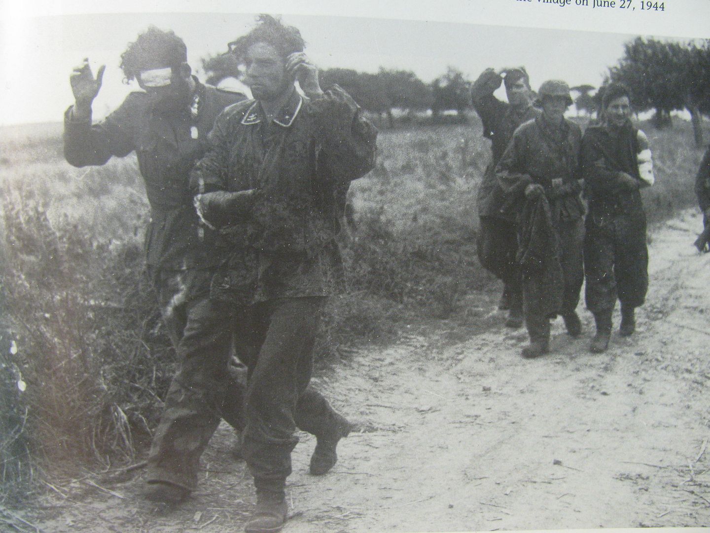 001-141.jpg