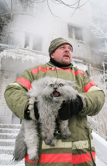 fireman_and_cat.jpg
