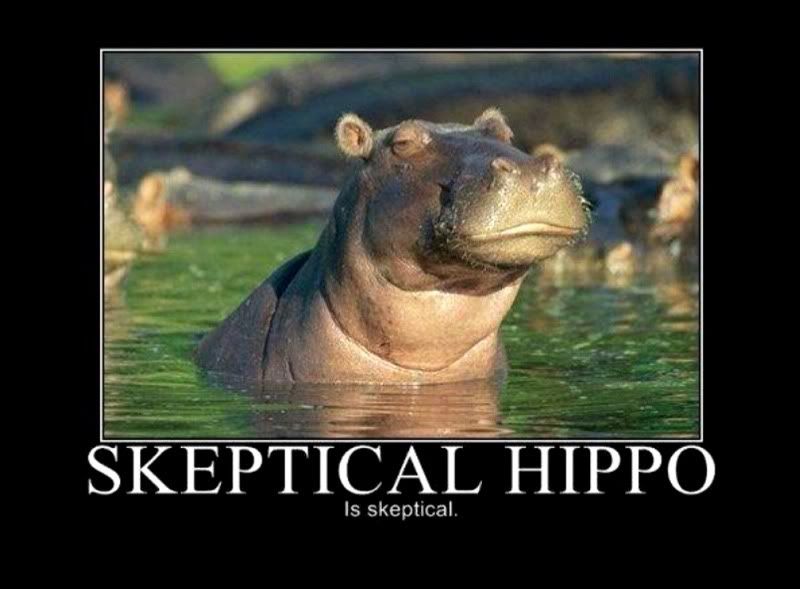 skepticalhippo.jpg