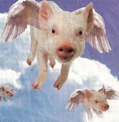 When Pigs Can Fly!!