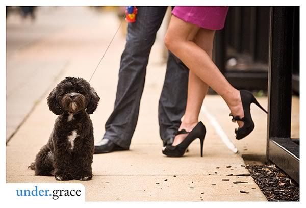 black shoes, ruffled shoes, stilettos, dog, engagement photos Photobucket