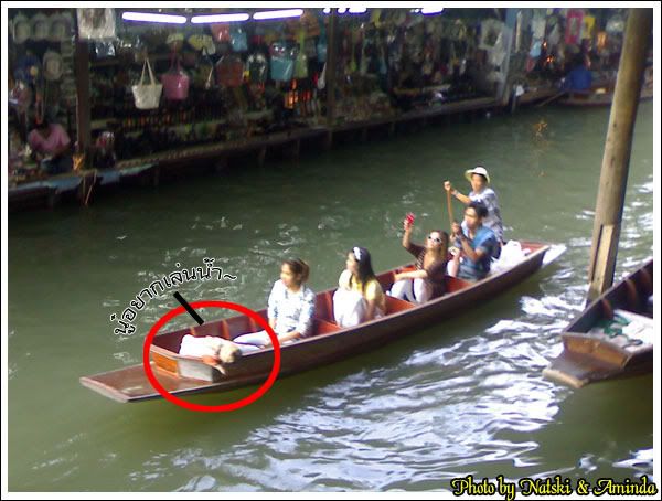 Dumnern Sadeuk,Thailand,Floating Market,Tourist,Dog