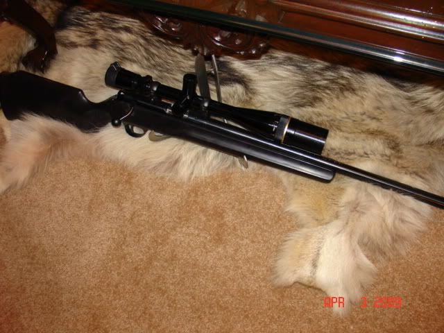 1717 Magnum Rimfire Varmint | Rimfire Central Firearm Forum