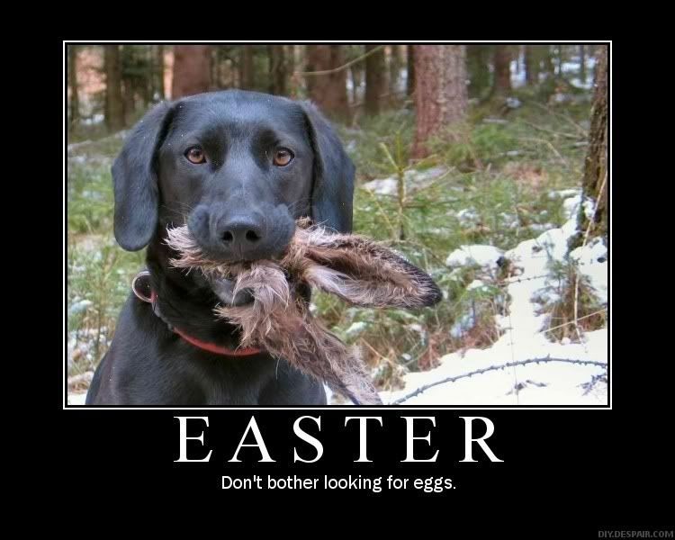 funny easter photo: No easter easter-no-eggs.jpg