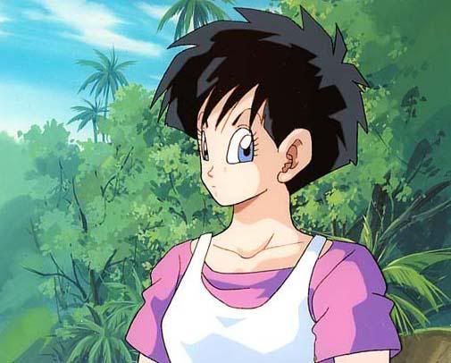 videl017.jpg