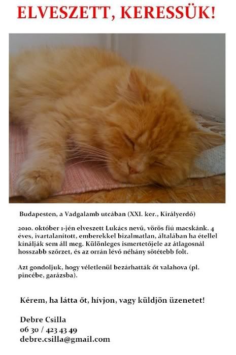 elveszett465x700.jpg