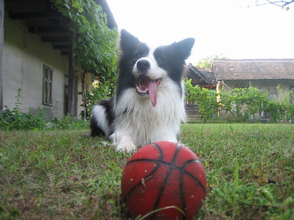 20110728007.jpg