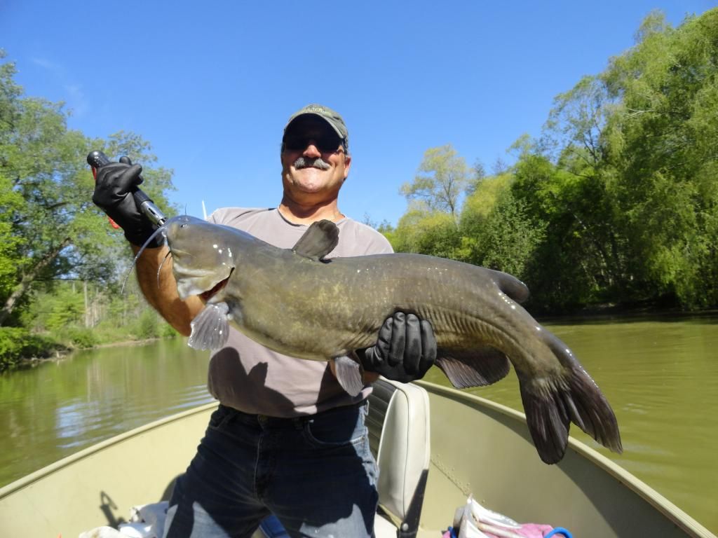 Channel Catfish Update, Sunday June 8th Channel 68