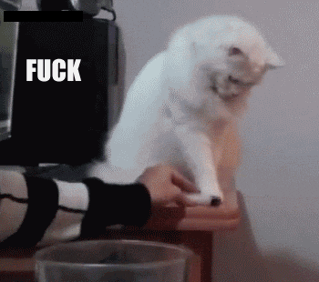  photo angry-cat-fuck-this_zpsafca6680.gif