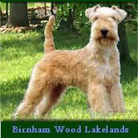 Birnham Wood Sweet Liberty
