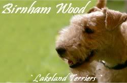Birnham Wood Lookout