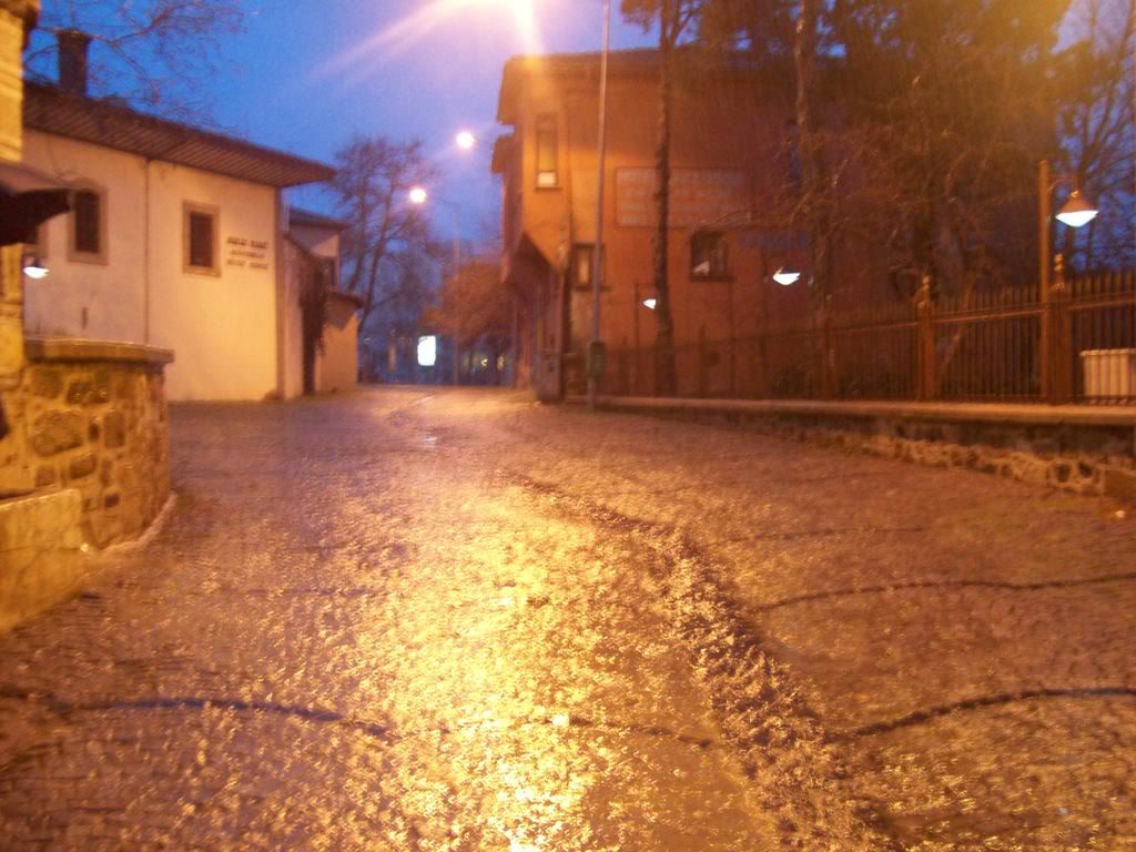 104_1709.jpg
