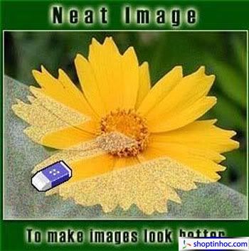 neatimage 10 Plugin làm mịn ảnh hay nhất cho Photoshop