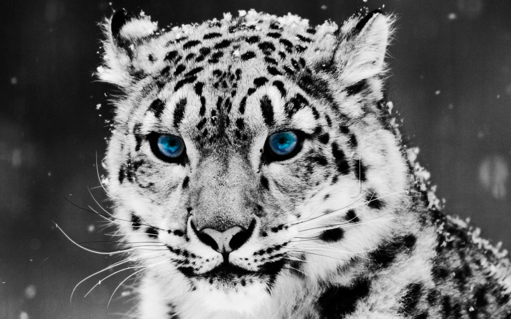 1920x1200 HD Wallpaper 161 Wallpaper Hd 1920. 1920x1200 HD Wallpaper 161
