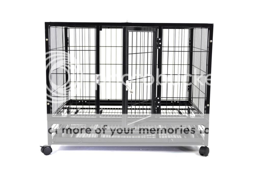   Champion 36 Pet Dog Crate Wire Cage Kennel Folding Portable Large