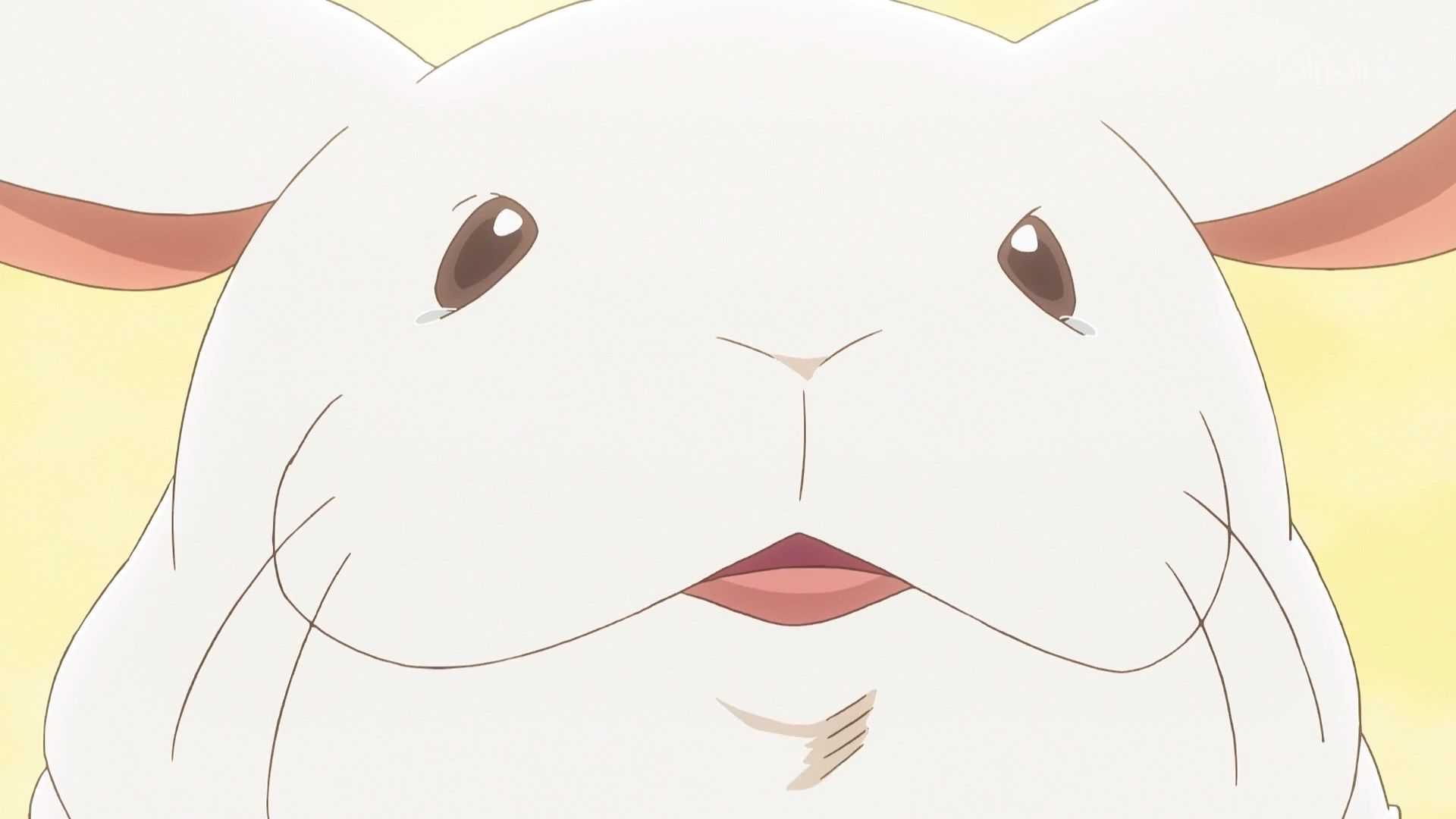  photo Senryuu Girl 06 B69EAC9A.mp4_snapshot_05.36.jpg