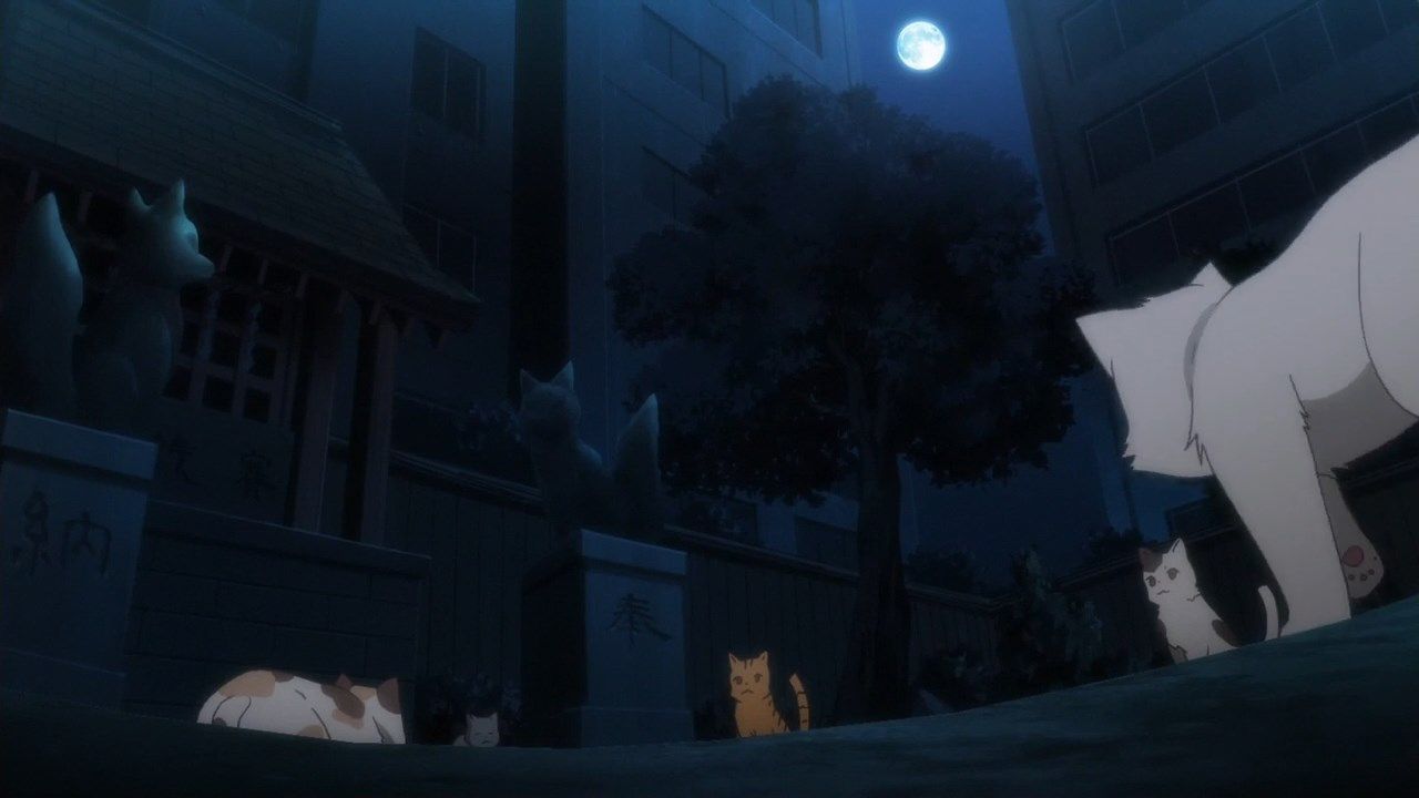  photo LKSUBSewayaki Kitsune no Senko-san07720P.mp4_snapshot_15.05.jpg