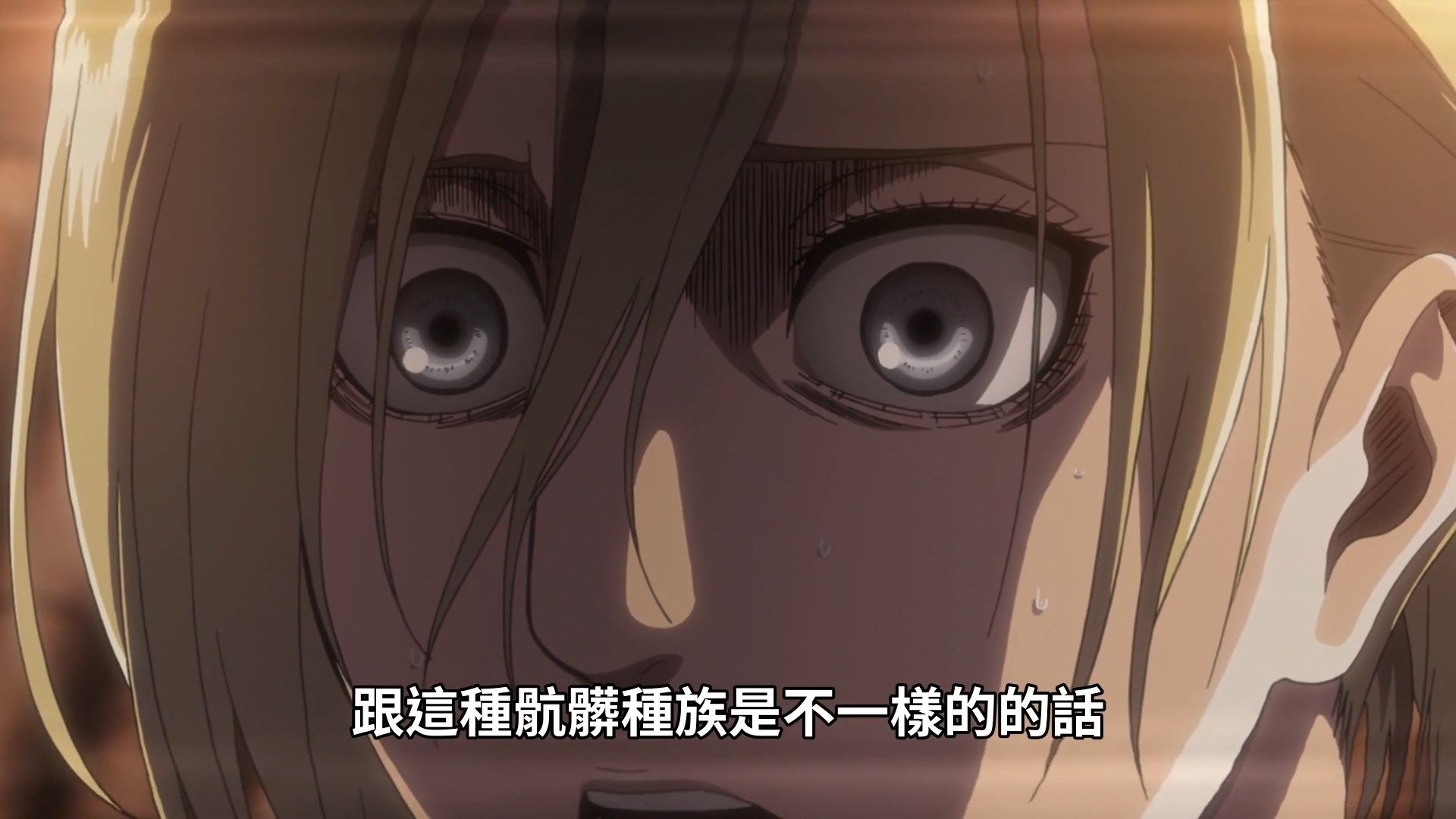  photo Shingeki no Kyojin III 15 C225ECA7.mp4_snapshot_04.42.jpg