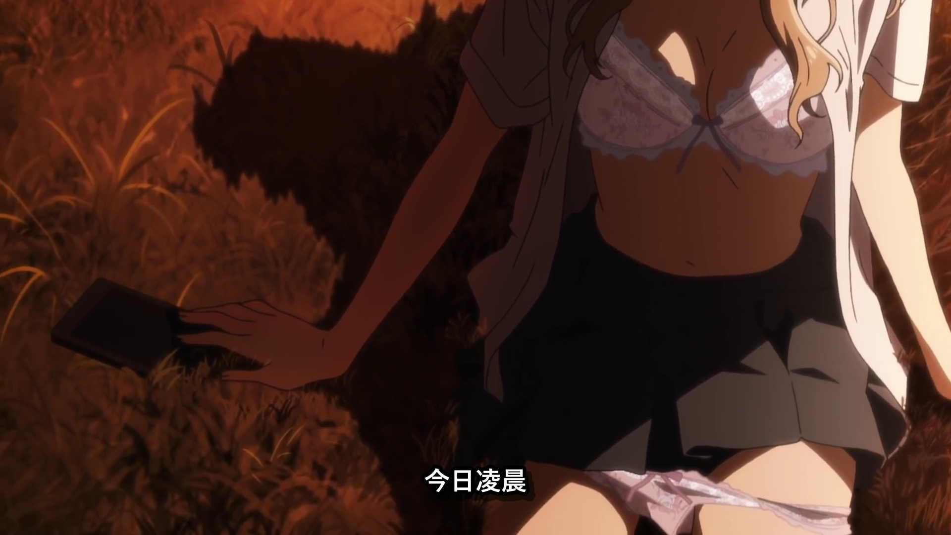  photo vlcsnap-2020-04-06-22h01m59s643.png