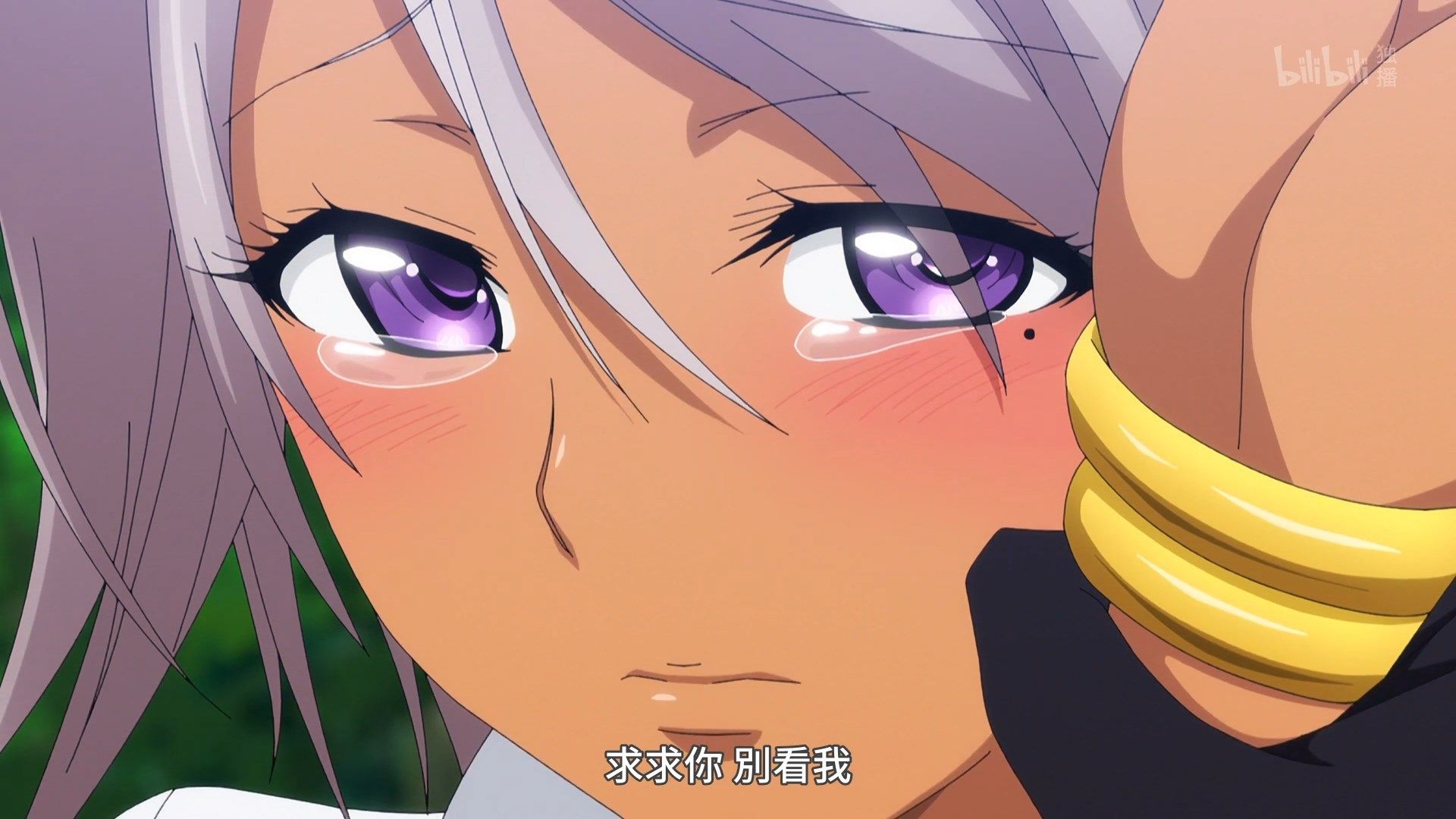  photo Lilith-Raws Plunderer - 19 BiliBiliWEB-DL1080pAVC AACCHTMKV.mkv_snapshot_08.53.jpg