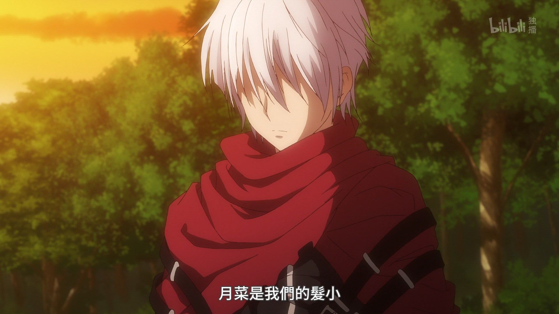  photo Lilith-Raws Plunderer - 20 BiliBiliWEB-DL1080pAVC AACCHTMKV.mkv_snapshot_02.25.jpg