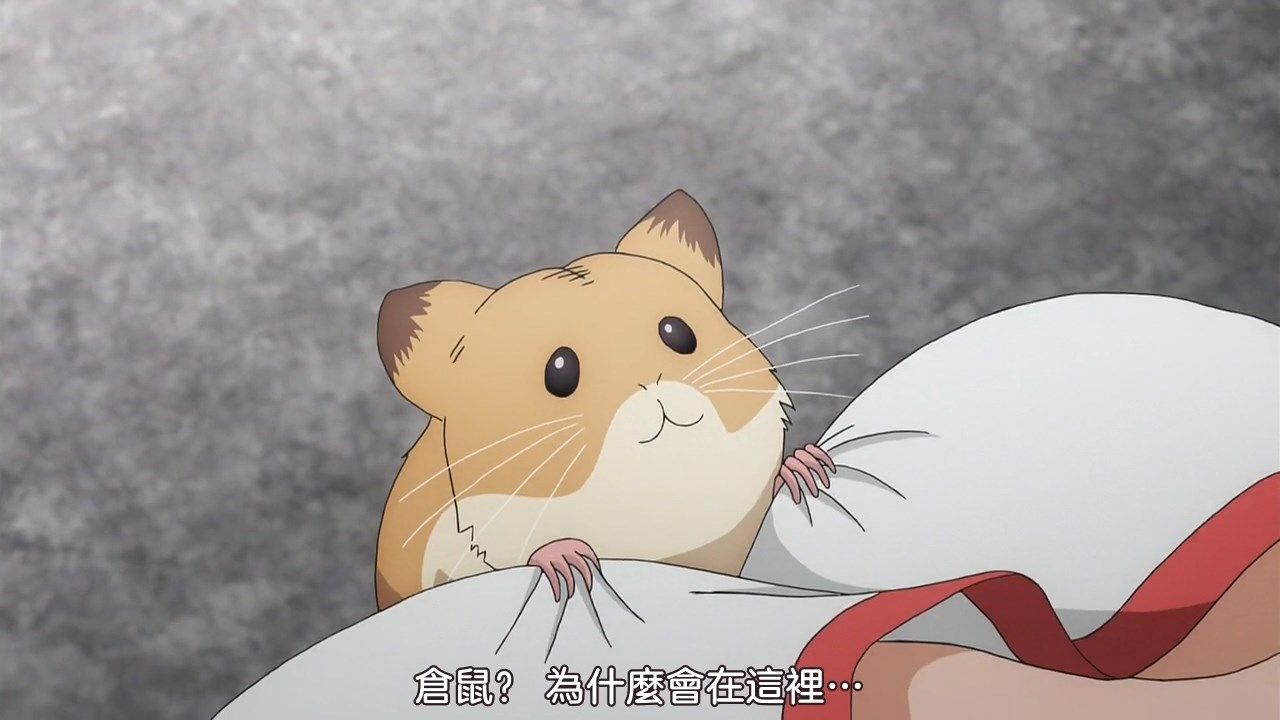  photo sakurato.subTo Aru Kagaku no Railgun T02BIG5720p.mp4_snapshot_09.02.jpg