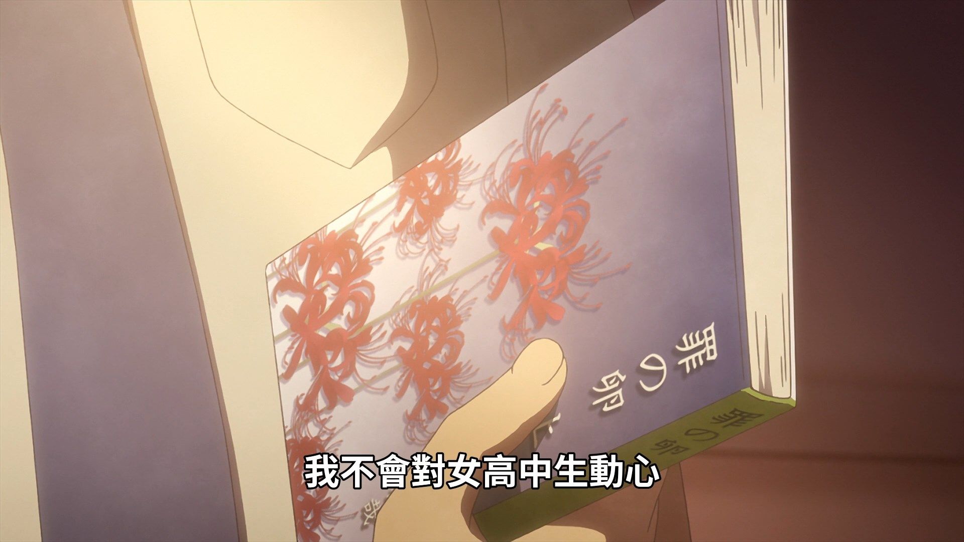  photo Araburu Kisetsu no Otome-domo yo 04 671B0BA2.mp4_snapshot_07.31.jpg