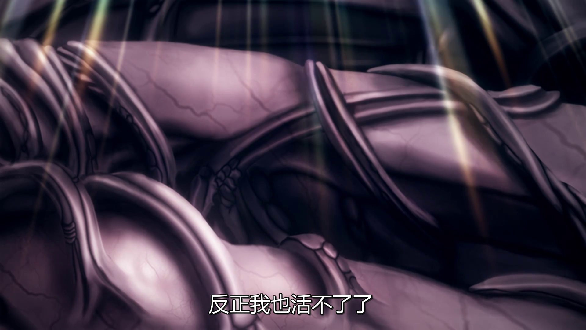 photo vlcsnap-2019-09-21-00h54m11s693.png