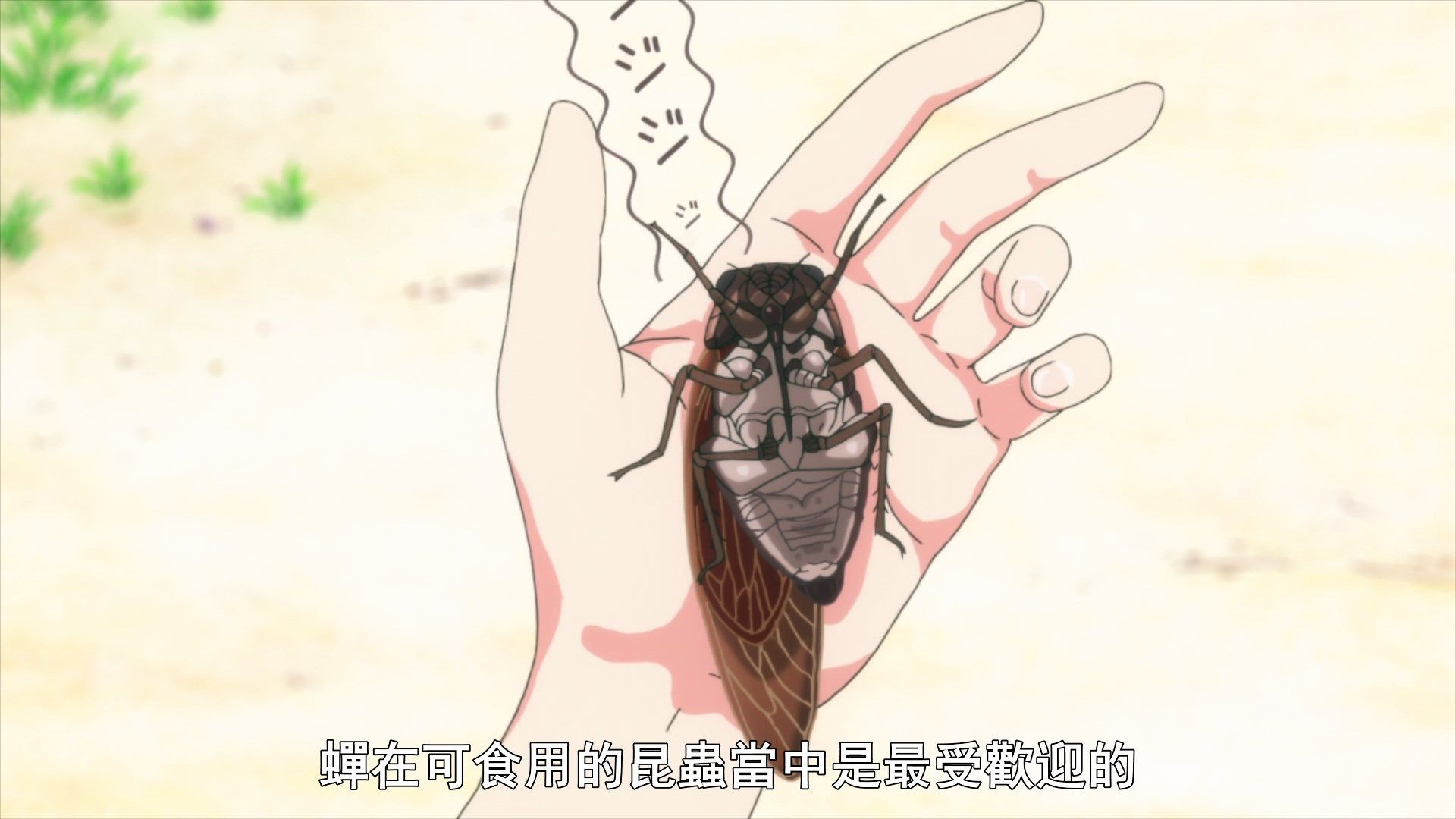  photo Sounan Desu ka 02 96695F45.mp4_snapshot_10.31.jpg