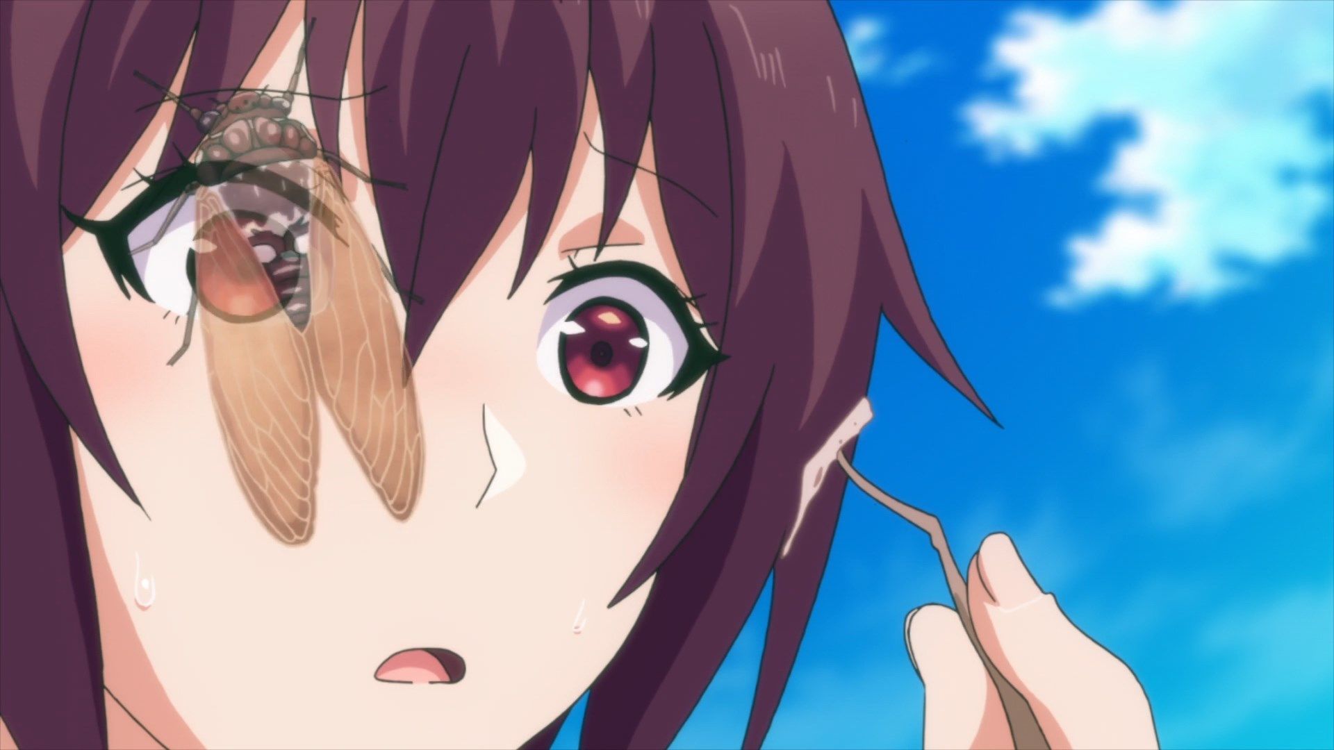  photo Sounan Desu ka 02 96695F45.mp4_snapshot_10.55.jpg