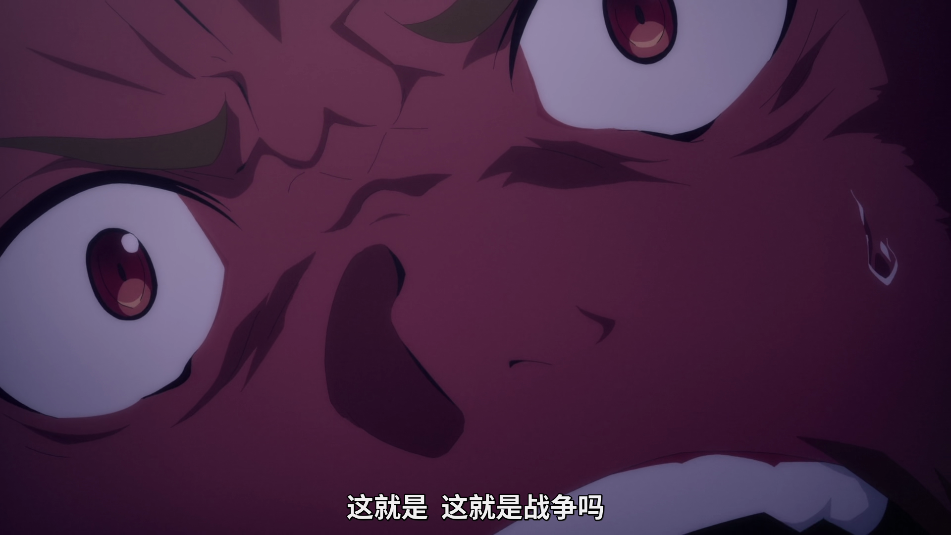  photo vlcsnap-2020-01-05-17h38m54s970.png